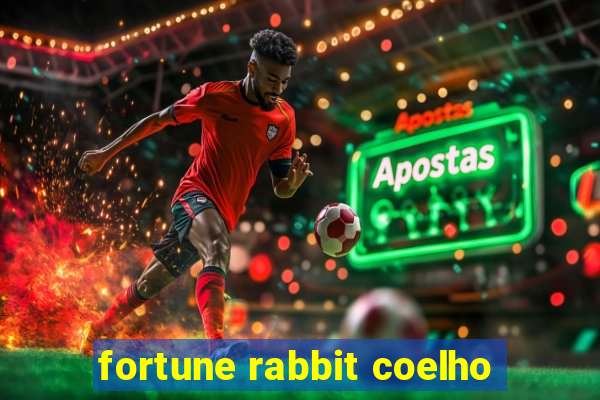 fortune rabbit coelho